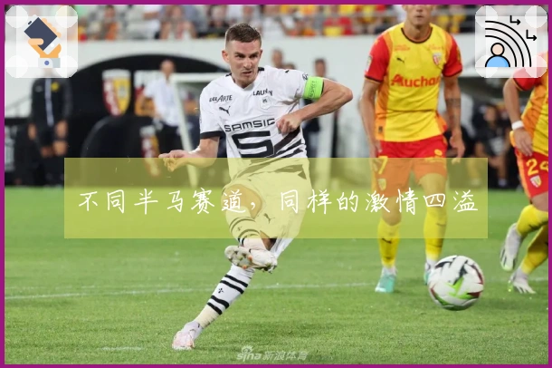 不同半马赛道，同样的激情四溢